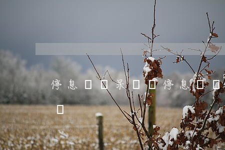停息掛賬呆賬還(停息掛賬會影響其它信用卡嗎)