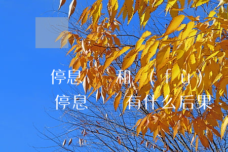 停息掛賬和負(fù)債規(guī)劃圖(停息掛賬有什么后果)