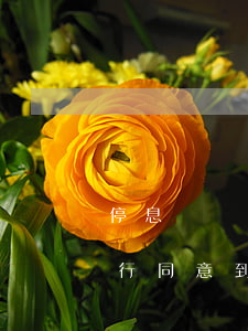 停息掛賬和銀行協(xié)商(停息掛賬銀行同意,到后來又無力還會怎樣)