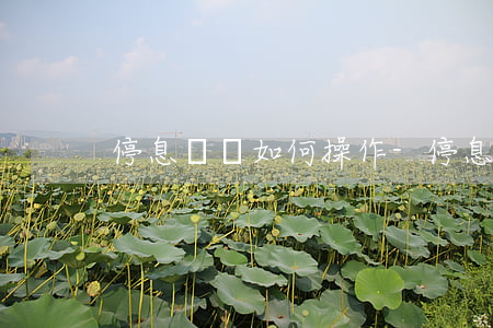 停息掛賬如何操作-停息掛賬如何操作流程