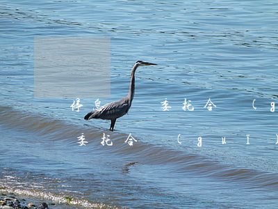 停息掛賬委托合規(guī)嗎-停息掛賬委托合規(guī)嗎合法嗎