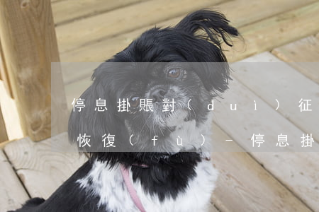 停息掛賬對(duì)征信的影響多久能從恢復(fù)-停息掛賬對(duì)征信的影響多久能從恢復(fù)征信