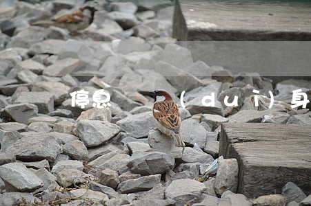 停息掛賬對(duì)身體有害嗎