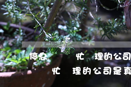停息掛賬幫忙處理的公司是真的嗎-停息掛賬幫忙處理的公司是真的嗎嗎