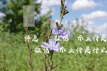停息掛賬征信顯示止付是什么意思-停息掛賬征信顯示止付是什么意思啊