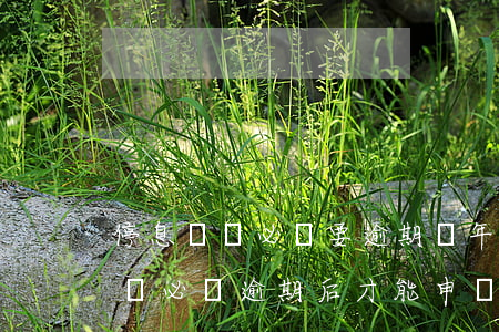 停息掛賬必須要逾期兩年才可以嗎-停息掛賬必須逾期后才能申請(qǐng)嗎