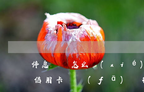 停息掛賬怎么協(xié)商廣發(fā)信用卡(廣發(fā)銀行停息掛賬有申請成功的嗎)