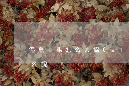 停息掛賬怎么去協(xié)商(停息掛賬怎么說)