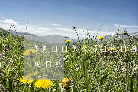 停息掛賬怎么弄貧困證明(停息掛賬怎么弄貧困證明)