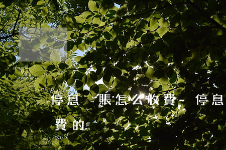停息掛賬怎么收費-停息掛賬律師是怎么收費的