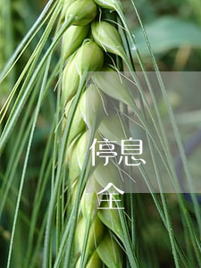 停息掛賬怎么處理-停息掛賬怎么處理最安全