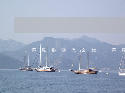 停息掛賬怎么說-停息掛賬的意思