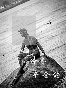 停息掛賬意思是只還本金嗎(停息掛賬要先還本金的百分之30嗎)