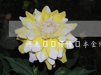 停息掛賬慢慢還本金(停息掛賬慢慢還本金)