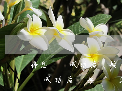 停息掛賬成功后沒按時還款怎么辦-停息掛賬成功后沒按時還款怎么辦呢