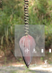 停息掛賬手續(xù)費(fèi)計(jì)算公式（停息掛賬手續(xù)費(fèi)計(jì)算）