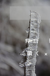 停息掛賬手續(xù)費多少-停息掛賬手續(xù)費多少錢