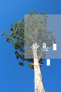 停息掛賬打客服怎么說-停息掛賬會通知家人嗎