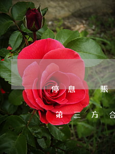 停息掛賬找第三方合法嗎貼吧-停息掛賬找第三方合法嗎貼吧