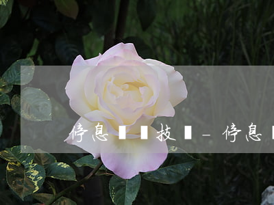 停息掛賬技術-停息掛賬技術教程