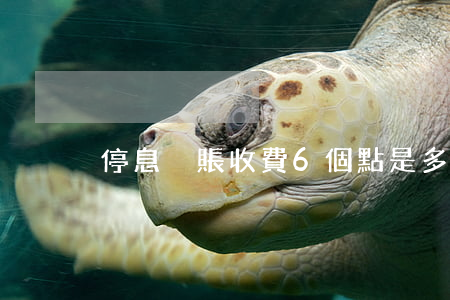 停息掛賬收費6個點是多少