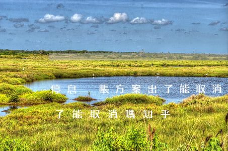 停息掛賬方案出了能取消嗎(停息掛賬方案出了能取消嗎知乎)