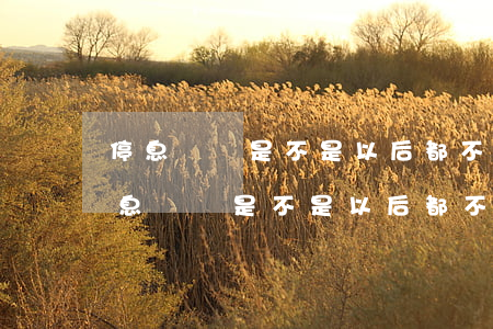 停息掛賬是不是以后都不能申請貸款了-停息掛賬是不是以后都不能申請貸款了呢