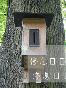 停息掛賬是不是只需還本金(什么情況下可以停息掛賬)