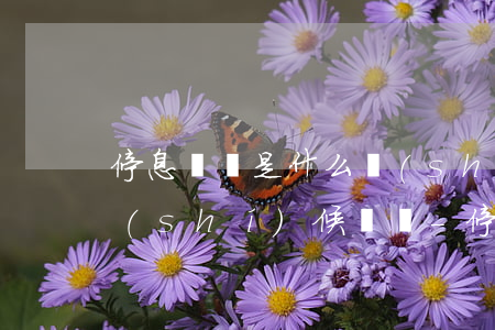 停息掛賬是什么時(shí)候有錢什么時(shí)候還嗎-停息掛賬什么時(shí)候出來(lái)的