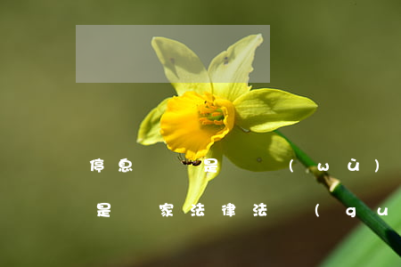 停息掛賬是債務(wù)重組嗎-停息掛賬是國家法律法規(guī)嘛