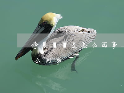 停息掛賬是怎么回事-信用卡停息掛賬是怎么回事