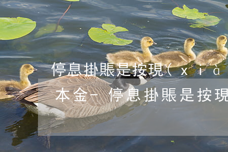 停息掛賬是按現(xiàn)在的金額還是本金-停息掛賬是按現(xiàn)在的金額還是本金還是利息