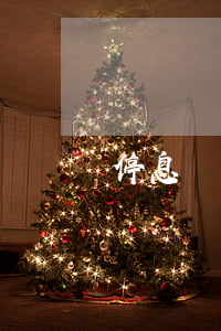 停息掛賬是暫時不用還嗎(什么叫掛賬停息)