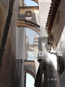 停息掛賬是每月都還款嘛(什么叫掛賬停息)