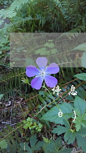 停息掛賬是法律第幾條-停息掛賬專業(yè)術(shù)語叫什么