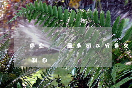 停息掛賬最多可以分多久還(停息掛賬后還有利息嗎)