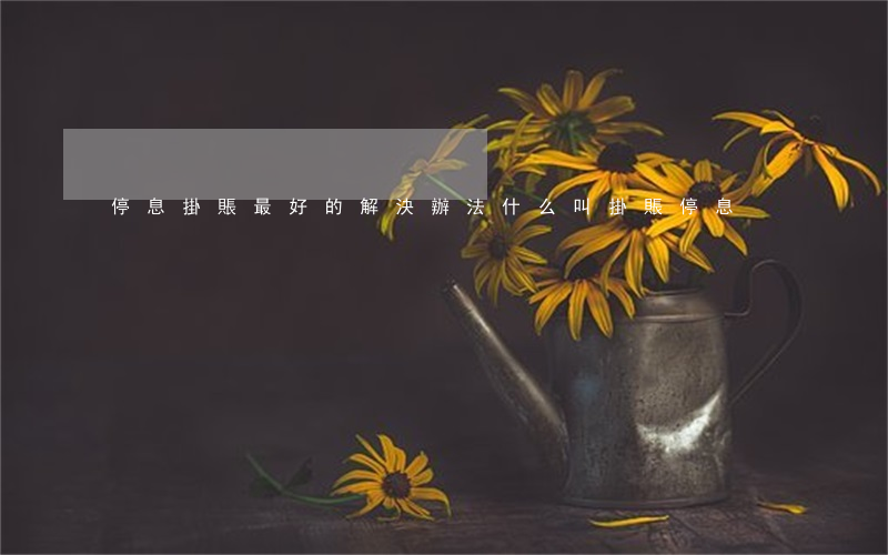 停息掛賬最好的解決辦法(什么叫掛賬停息)