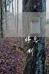 停息掛賬會(huì)對(duì)房貸有影響嗎(一家銀行停息掛賬會(huì)影響其他銀行嗎?)