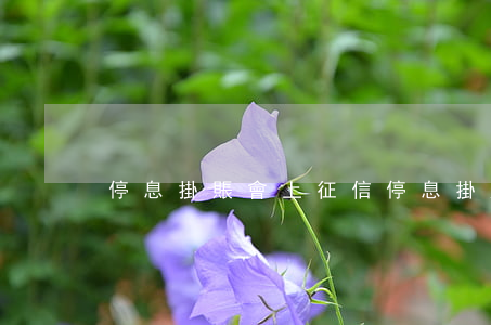 停息掛賬會上征信(停息掛賬會不會影響征信)