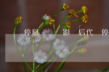 停息掛賬會影響后代嗎(停息掛賬影響信用嗎)
