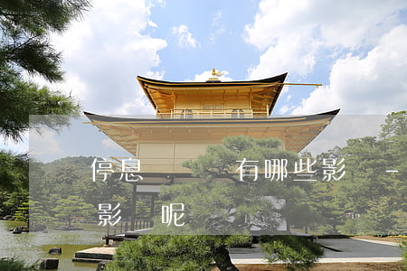 停息掛賬會有哪些影響-停息掛賬會有哪些影響呢