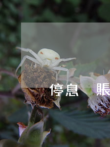 停息掛賬會留案底么嘛（停息掛賬會留案底么）