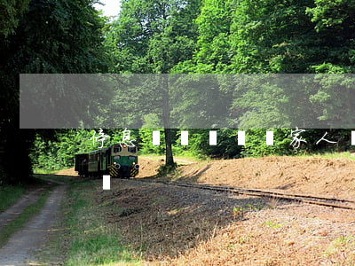 停息掛賬會騷擾家人嗎(停息掛賬會通知家人嗎)