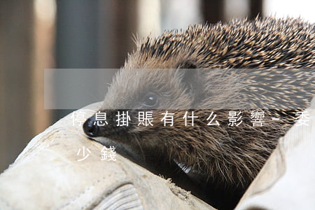 停息掛賬有什么影響-委托律師停息掛賬多少錢