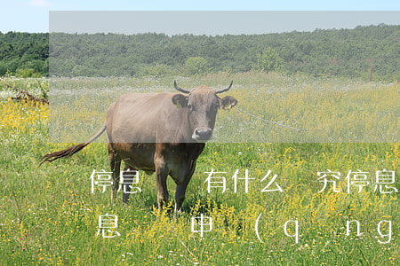 停息掛賬有什么講究(停息掛賬什么意思:停息掛賬申請(qǐng)條件麻煩嗎)