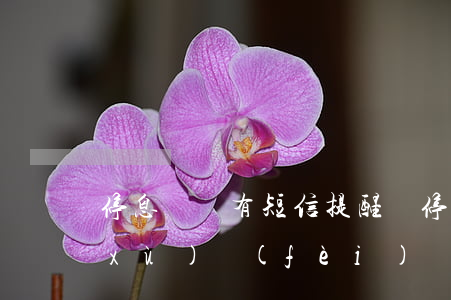停息掛賬有短信提醒嗎(停息掛賬還有手續(xù)費(fèi)嗎)