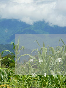 停息掛賬有這條規(guī)定么 停息掛賬的規(guī)定