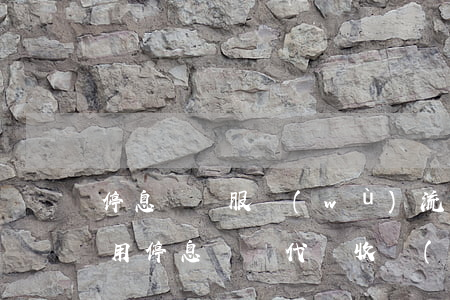 停息掛賬服務(wù)流程和費(fèi)用(停息掛賬代辦收費(fèi)標(biāo)準(zhǔn))