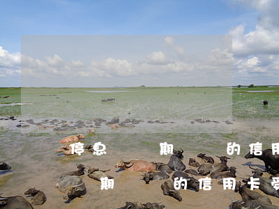 停息掛賬期間別的信用卡受影響嗎-停息掛賬期間別的信用卡受影響嗎怎么辦