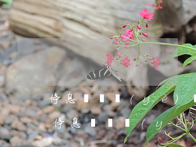 停息掛賬業(yè)務(wù)廣告圖片-停息掛賬業(yè)務(wù)廣告圖片